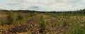 Typical landscape Sumava National Park in Czech Republic, Ã¢â¬Å¾Soumarske raselinisteÃ¢â¬Å. Forest with cloudy sky